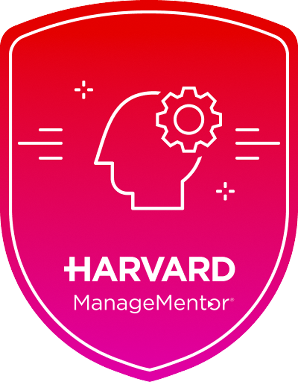 Strategic Thinking Badge